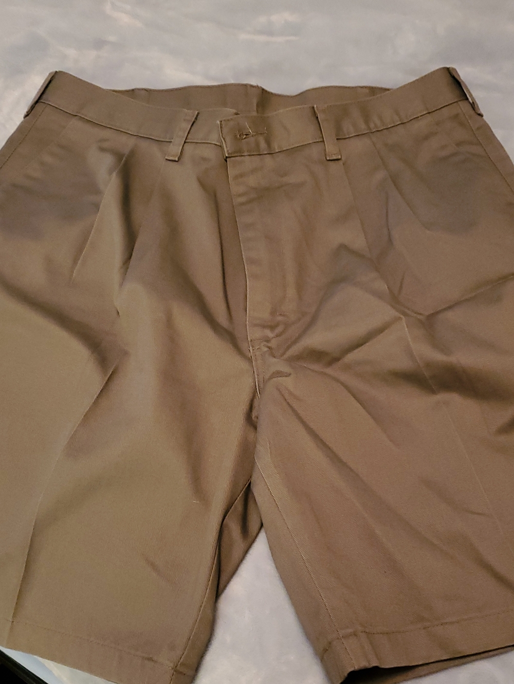 Men's Timber Creek Classic Pleated Shorts in Olive Green